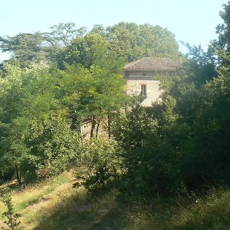 Domaine L'orguennay Penzion *