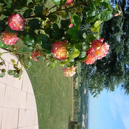 Penzion Domaine L'orguennay